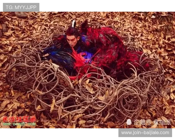 南宫真人版幕后揭秘：制作团队如何打造极致还原的神话世界