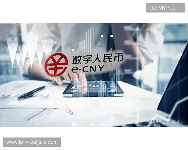 安全保障措施详解，确保你的ag金龙珠会员登录信息安全无忧